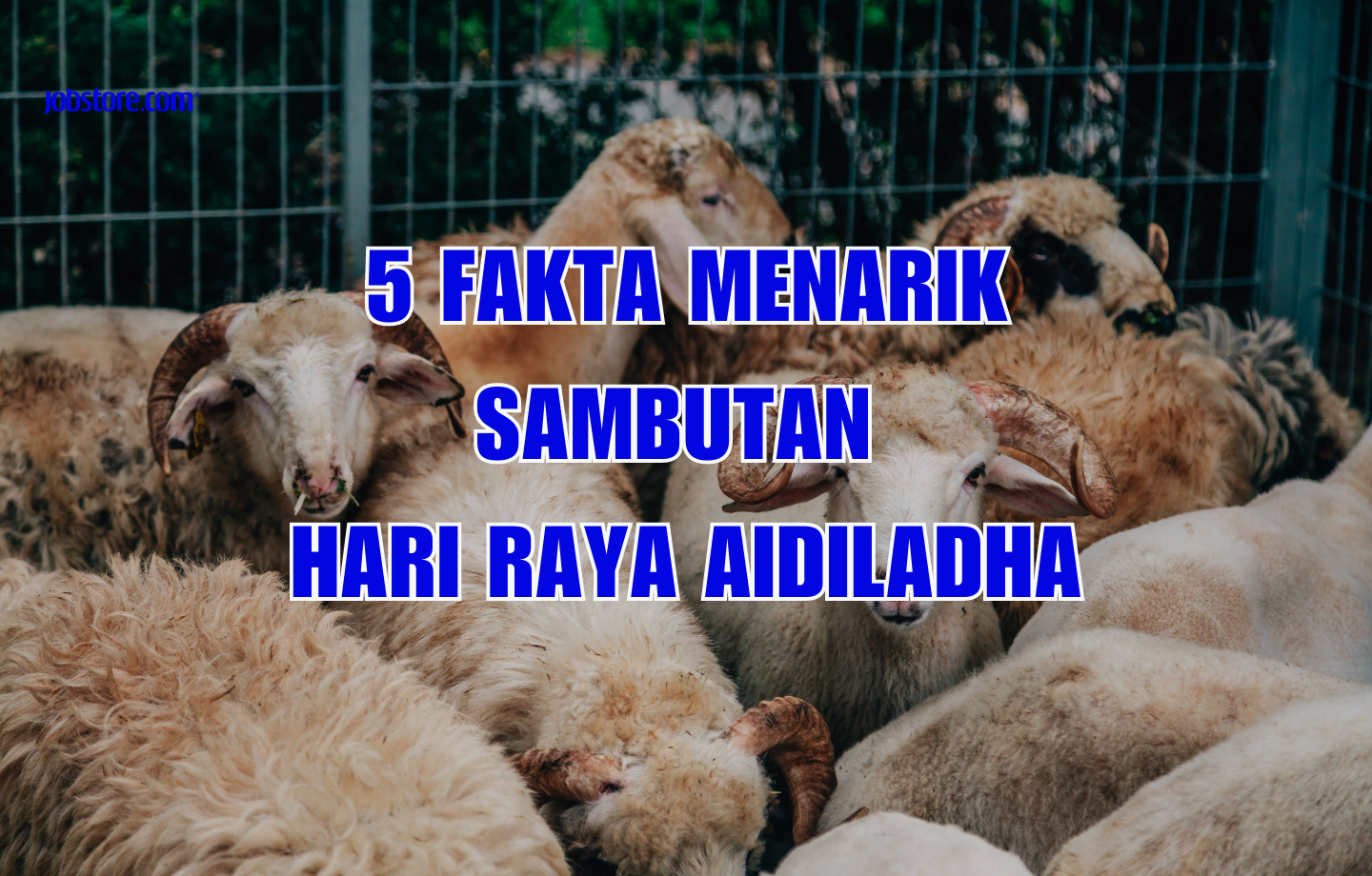 5 Fakta Menarik Sambutan Hari Raya Aidiladha