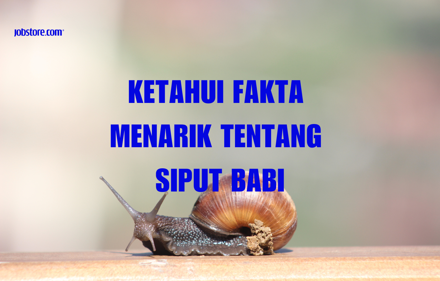 Ketahui Fakta Menarik Tentang Siput Babi