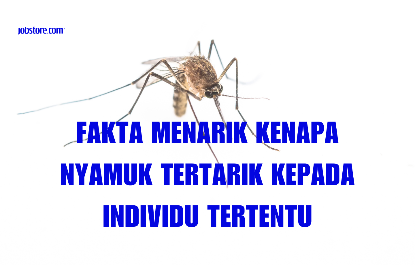 Fakta Menarik Kenapa Nyamuk Tertarik Kepada Individu Tertentu