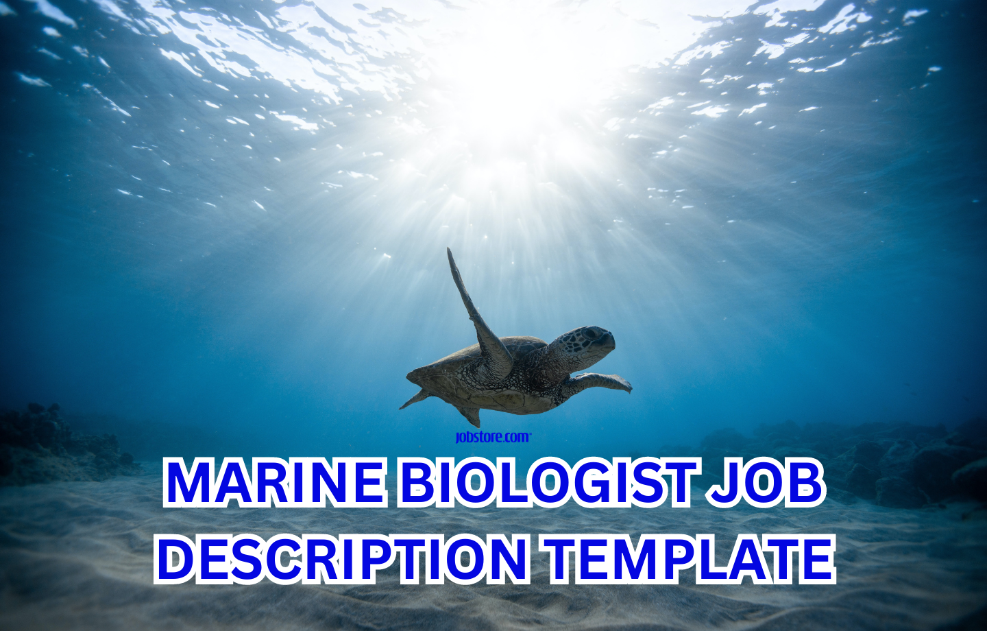 MARINE BIOLOGIST JOB DESCRIPTION TEMPLATE Jobstore Careers Blog