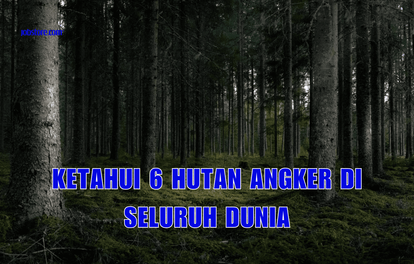 Ketahui 6 Hutan Angker Di Seluruh Dunia