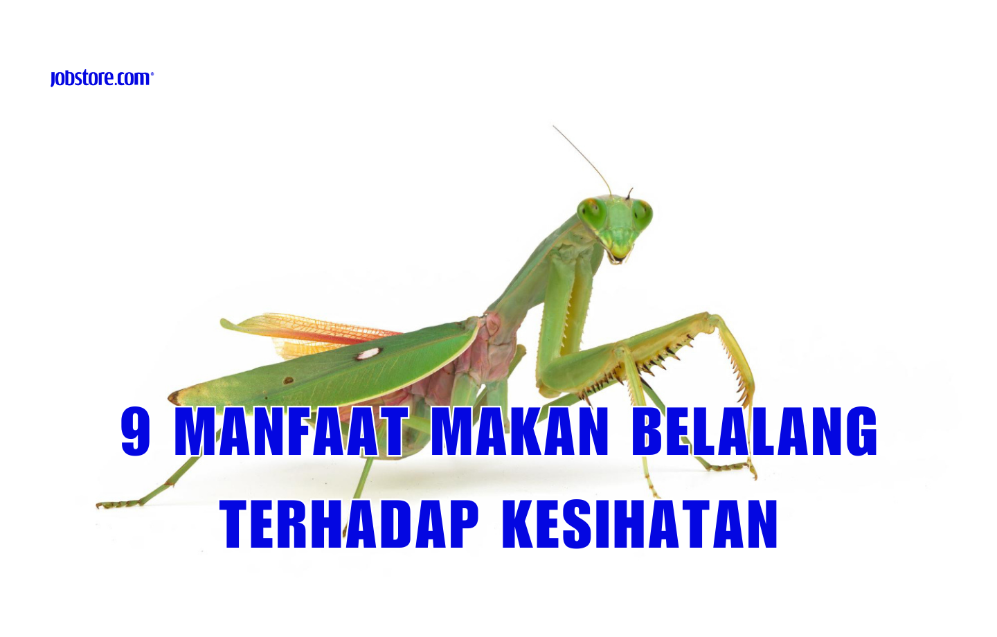 9 Manfaat Makan Belalang Terhadap Kesihatan