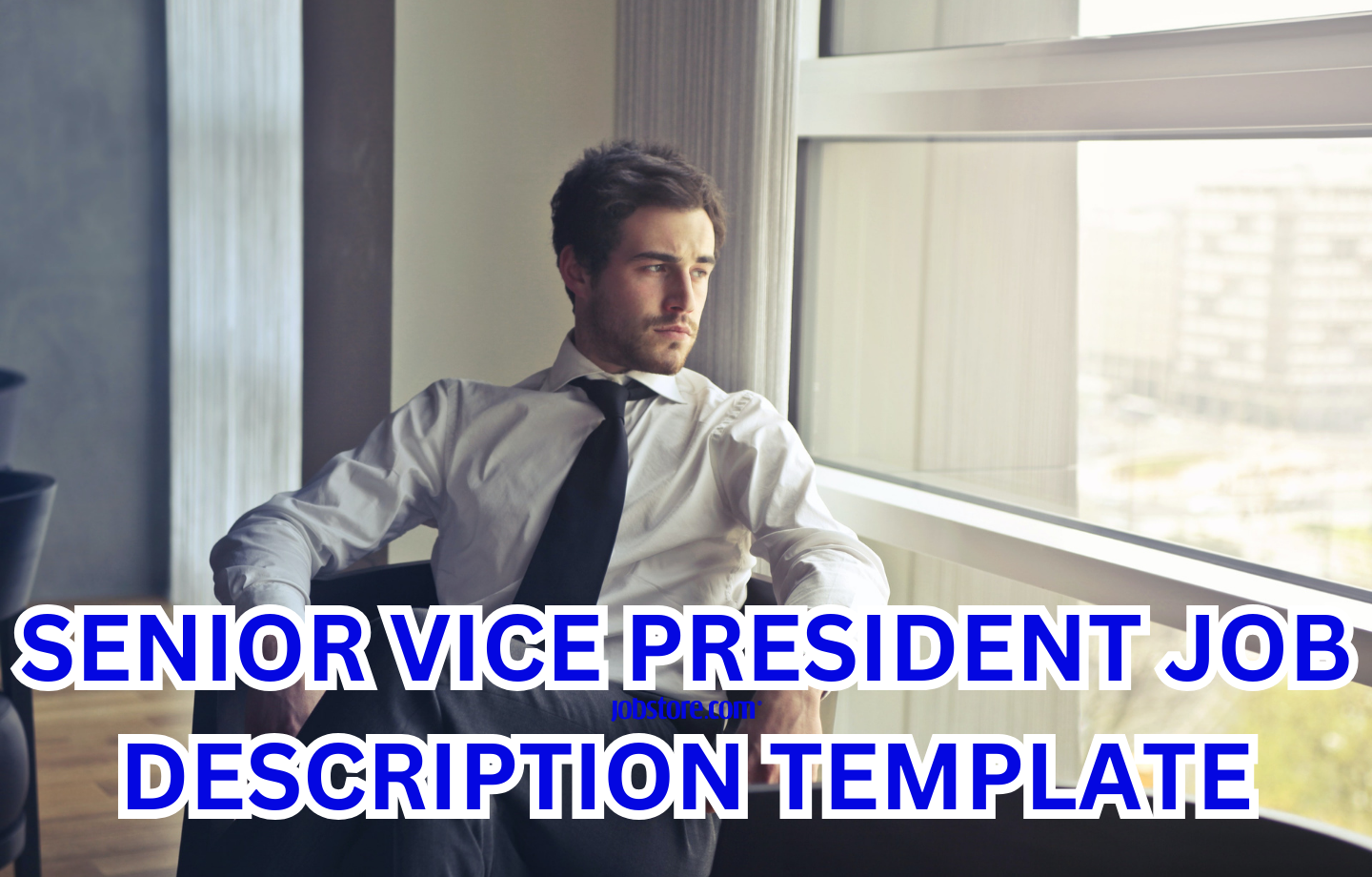 Senior Vice President Job Description Template