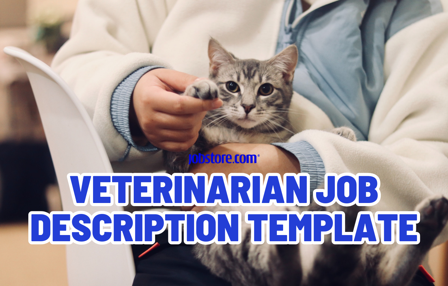 Veterinarian Job Description Template