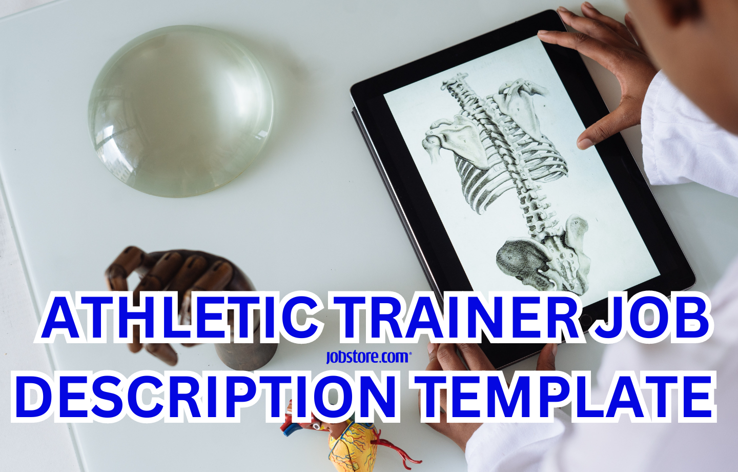 Athletic Trainer Job Description Template