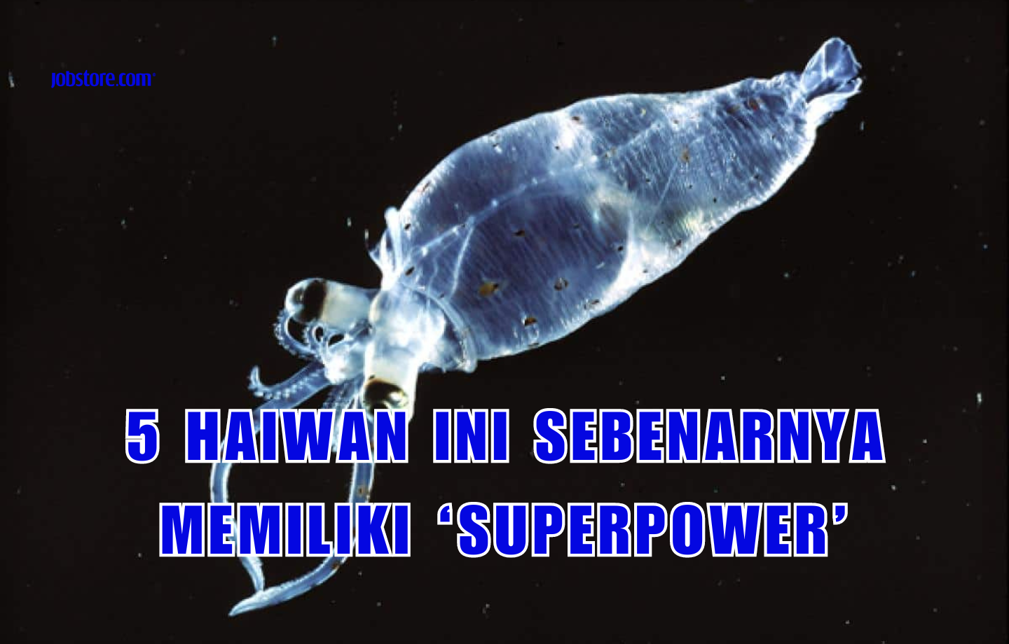 5 Haiwan Ini Sebenarnya Memiliki ‘Superpower’
