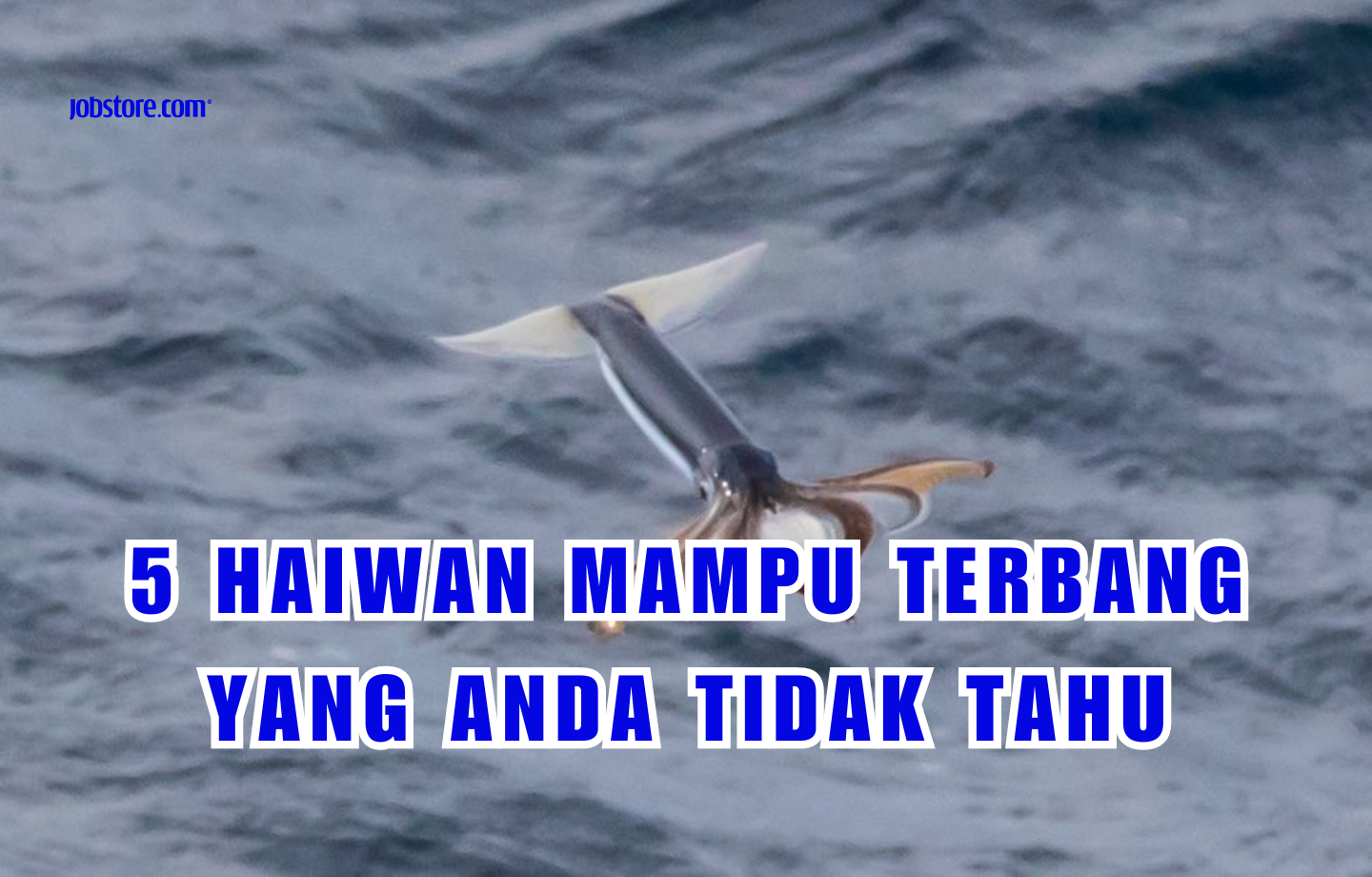 5 Haiwan Mampu Terbang Yang Anda Tidak Tahu