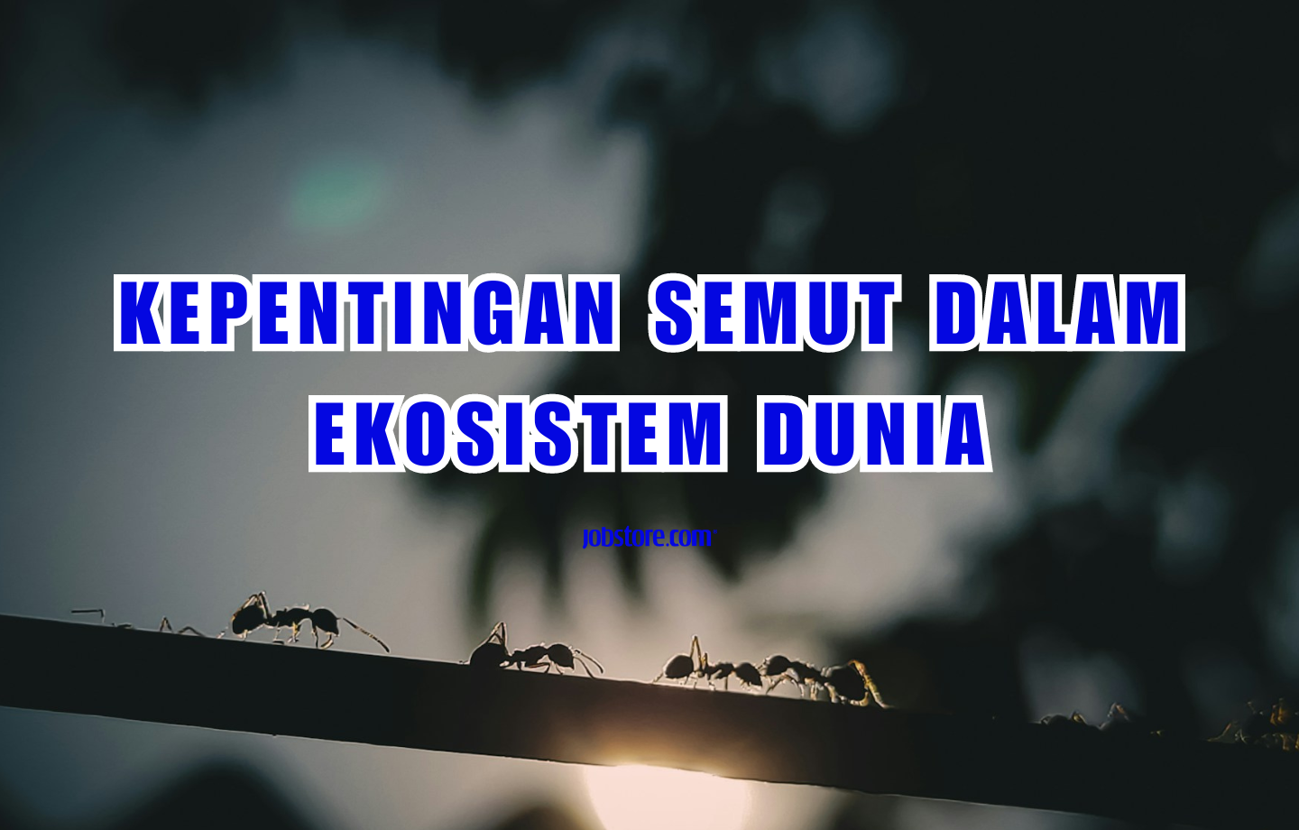 Kepentingan Semut Dalam Ekosistem Dunia