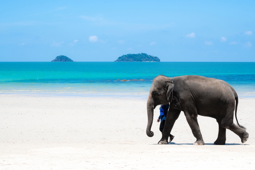 8 Destinasi Pulau Terbaik di Asia Tenggara