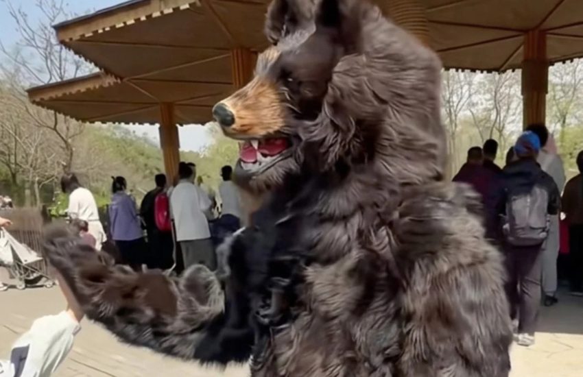 Zoo di China Ini Tawar Gaji RM60,000 Setahun Kerja Jadi ‘Beruang’