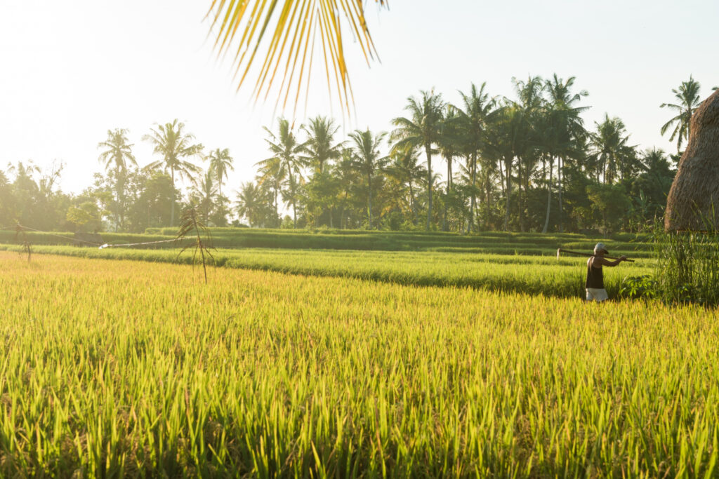 Agriculture entrepreneurs in Selangor receive RM1,000 incentives