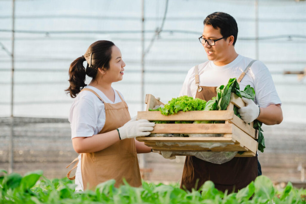 Government studying flexible plantation jobs for local youths