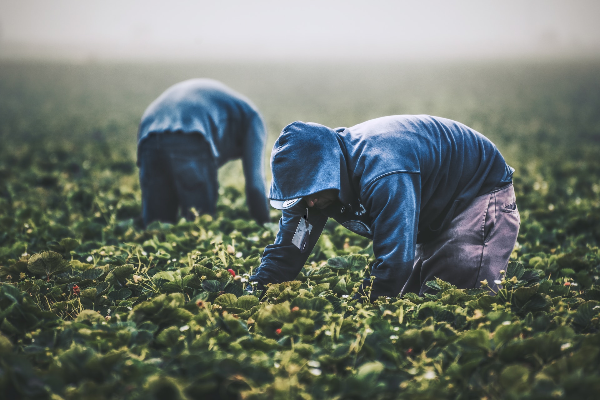 Invalidity scheme to be expanded to foreign workers