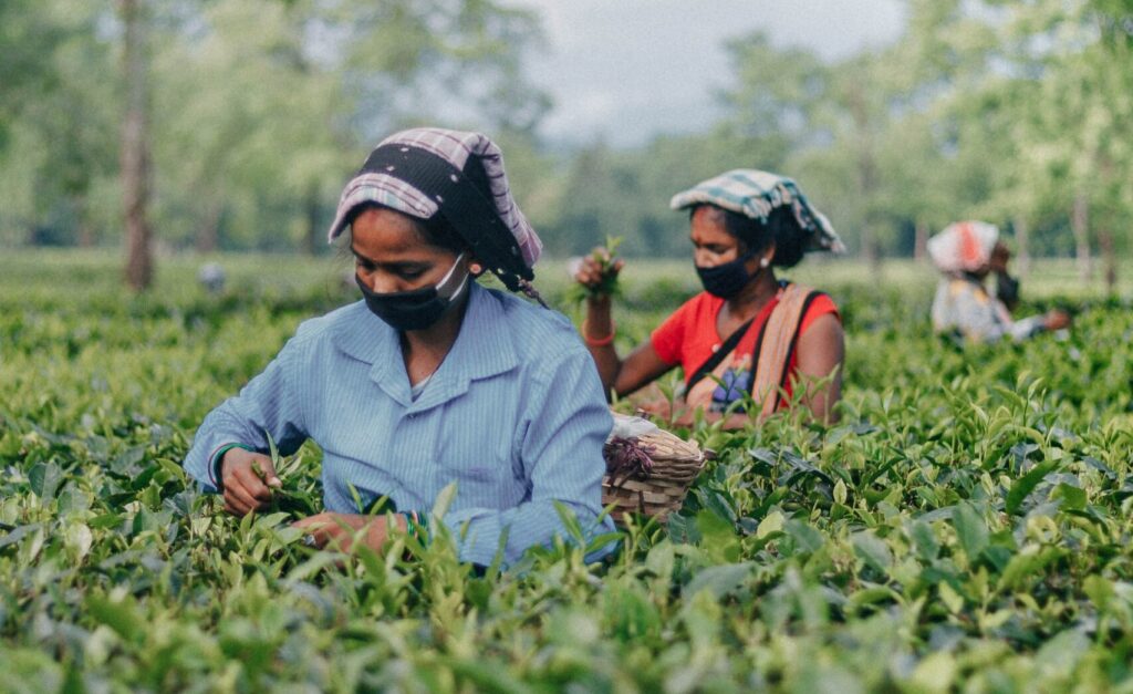 The HR Ministry will assist troubled Bangladeshi workers