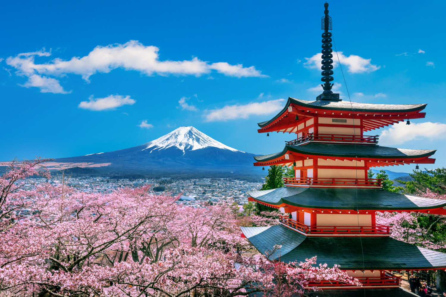 Japan aims to draw digital nomads, but there are restrictions