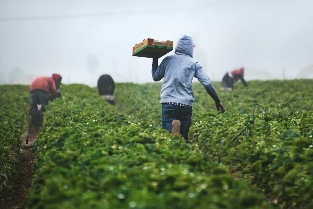 689 businesses issued with labor laws violations