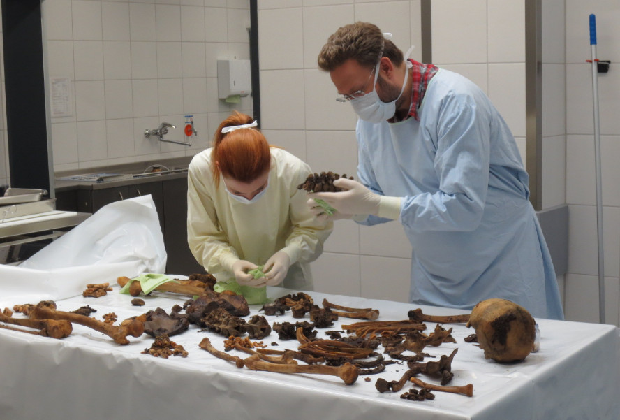 Forensic Anthropologist Job Description Template