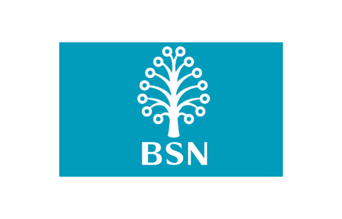 Jawatan Kosong Di Bank Simpanan Nasional (BSN)